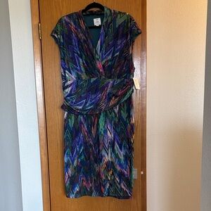 NWT Suzi Chin Midi Dress